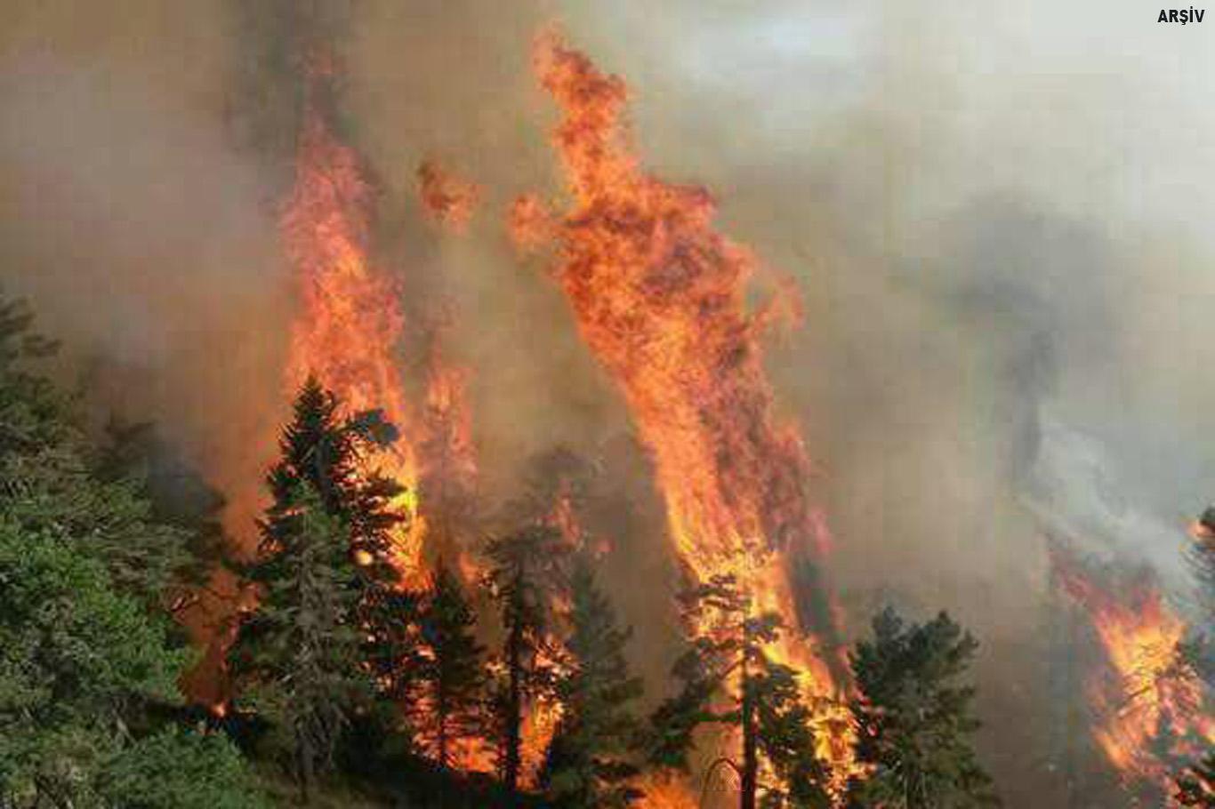Hatay'daki orman yangını söndürülemiyor